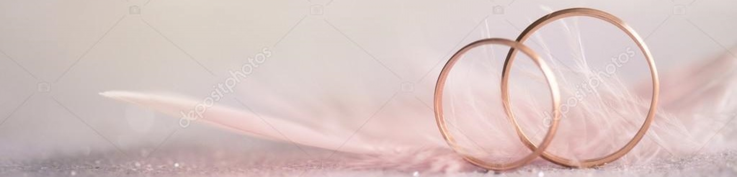 anillos pluma
